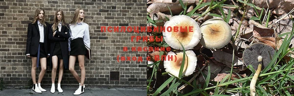 крисы Алзамай