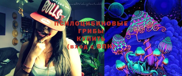 крисы Алексеевка