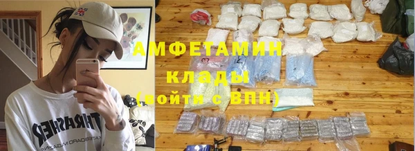 крисы Алзамай