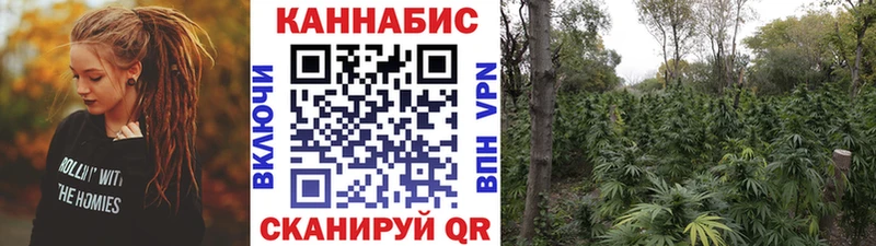 блэк спрут ссылка  Новоалтайск  Каннабис Bruce Banner 