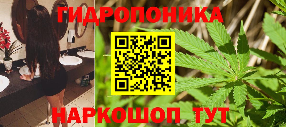Каннабис OG Kush  Вход с VPN  Конопля планчик  Конопля LSD WEED  МАРИХУАНА AK-47  Новоалтайск 